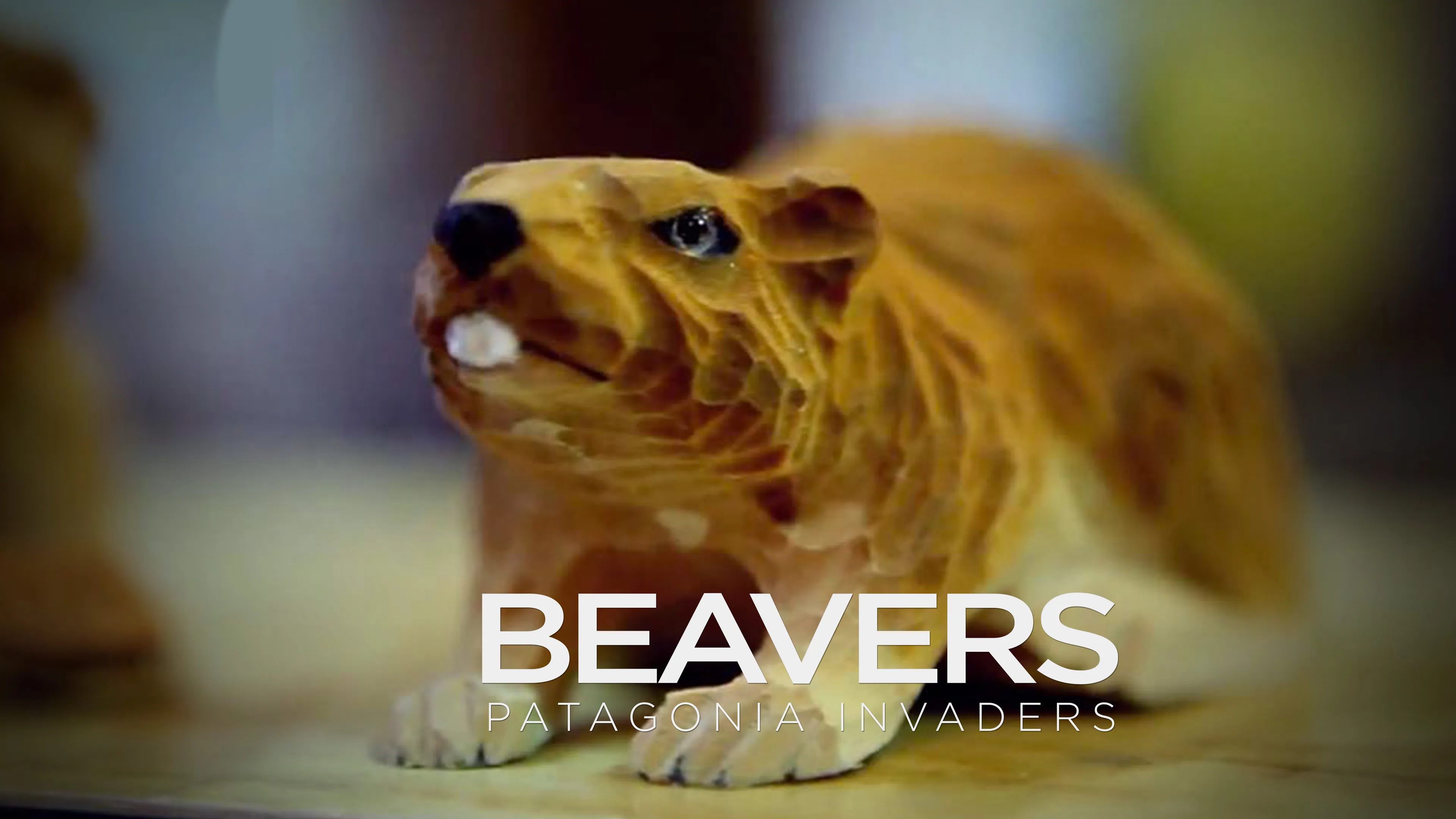 Beavers: Patagonia Invaders poster